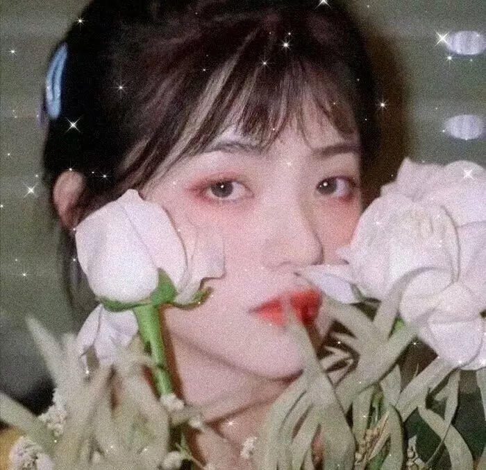 森之传说